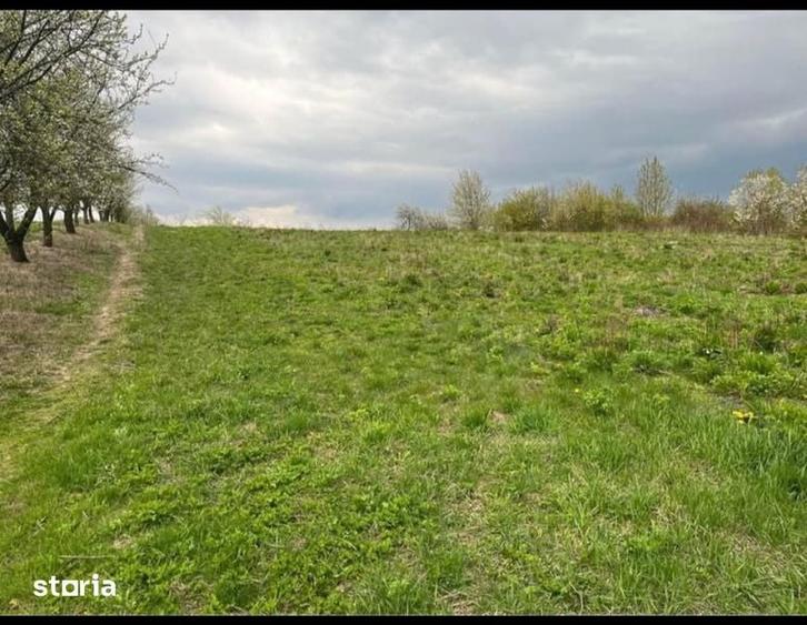 Teren de 4000 mp, în Grajduri