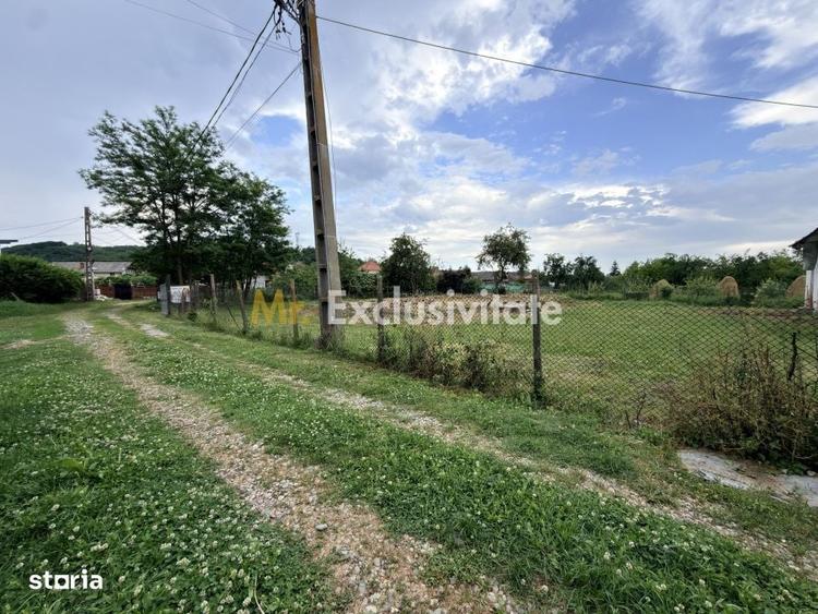 Spațiu comercial, în Dumirești