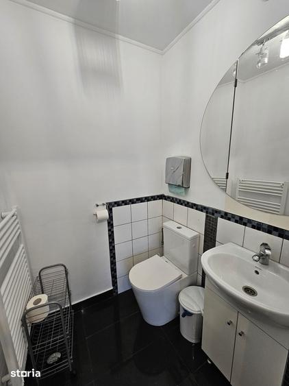 Pensiune+VILA, NOU: Casa Elena Sibiel, Terasa, Garaj, Renovata|VIDEO - 14