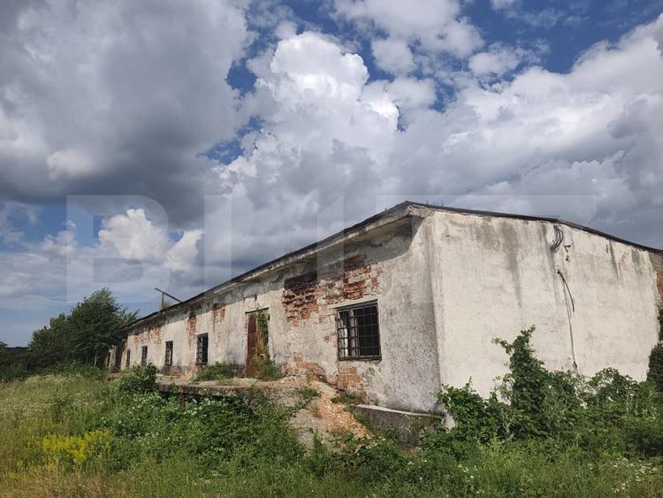 Teren Construcții intravilan de 8000 mp, în Dragomirești