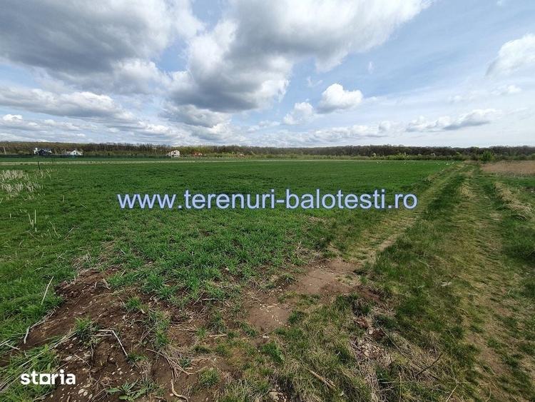Teren de 800 mp, în Balotești