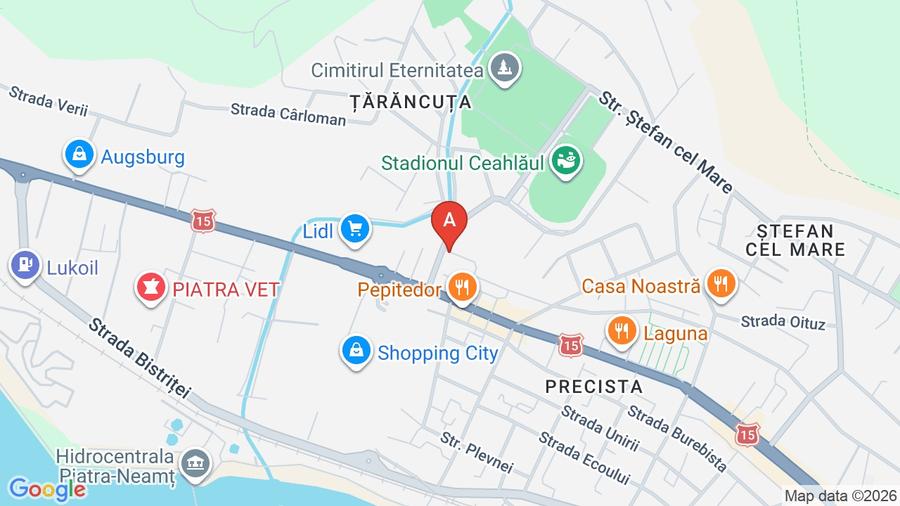 Apartament cu 3 camere decomandat, mobilat în Precista