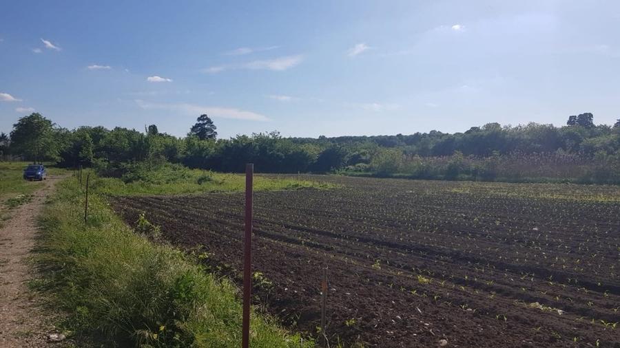 Teren Construcții intravilan de 977 mp, în Ciolpani