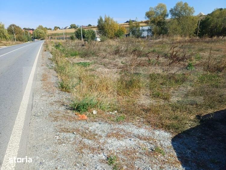 Teren de 3800 mp, în Moara