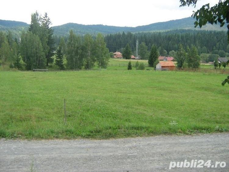 Teren de 1689 mp, în Izvoru Mureșului