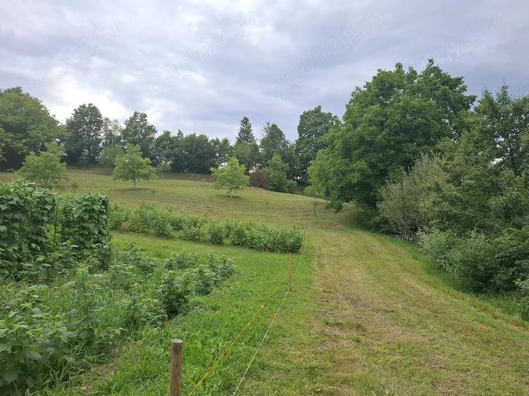 Teren de 2300 mp, în Brădețelu