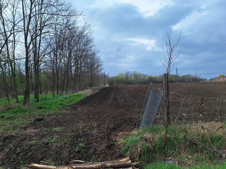 Teren de 726 mp, în Sinești
