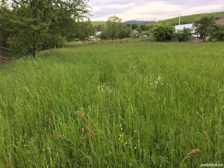 Teren de 30000 mp, în Crăcăoani