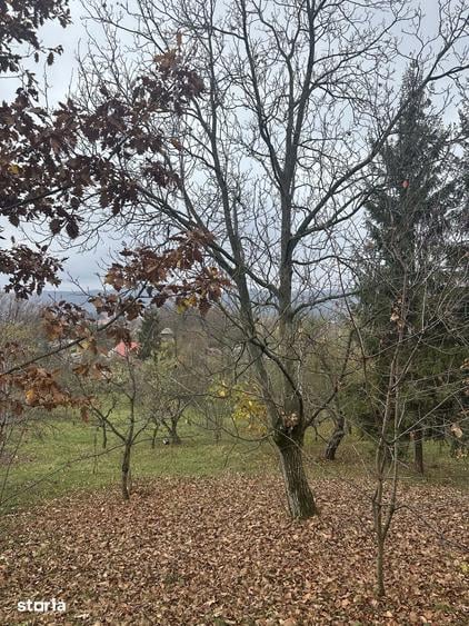 Teren de 1800 mp, în Cornu