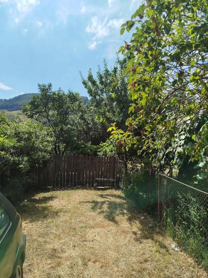 Teren de 987 mp, în Dărmănești