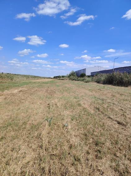 Teren Construcții intravilan de 10000 mp, în Tomești