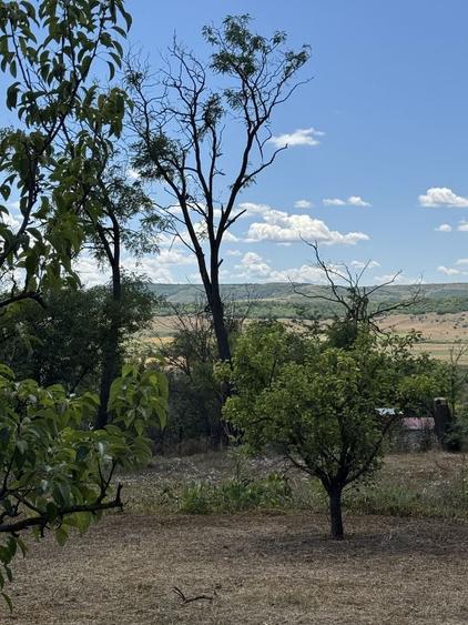 Casă cu 4 camere în Vulturești