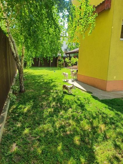 Casă cu 4 camere în Mamaia