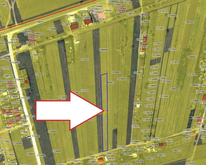 Teren Construcții intravilan de 2500 mp, în Lazu