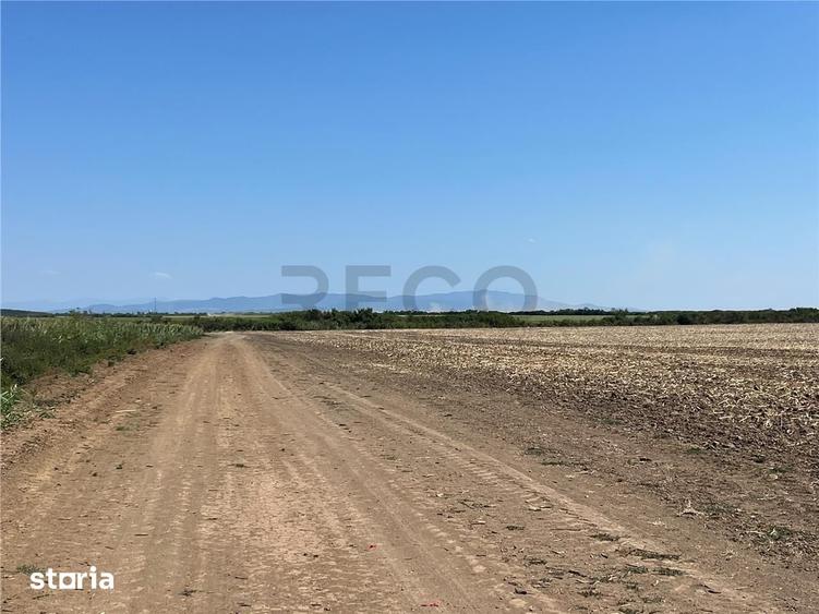 Teren de 18100 mp, în Tulca