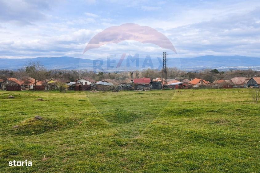 Spațiu comercial, în Central