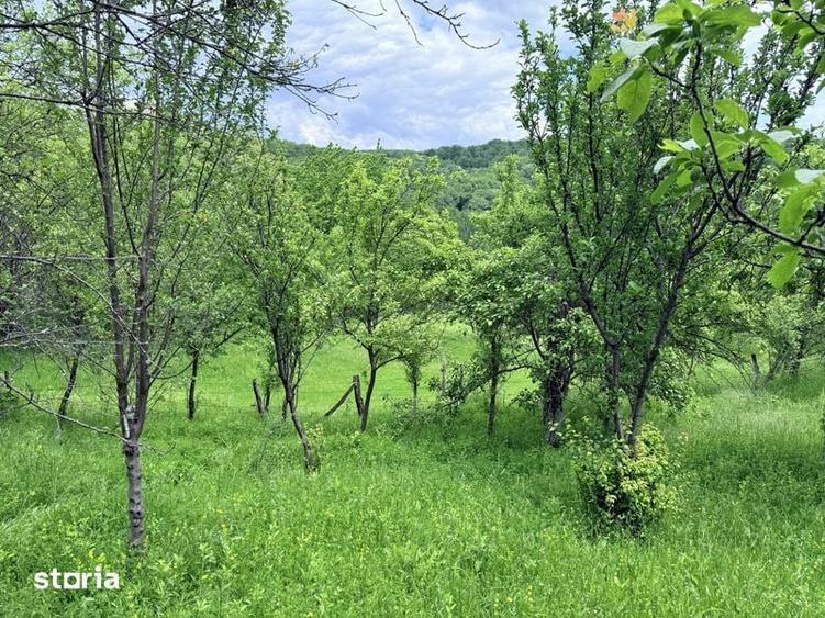 Teren de 5800 mp, în Schela