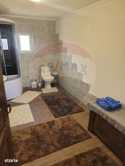 Casă cu 4 camere cu Teren 16499 Mp în Baia de Fier