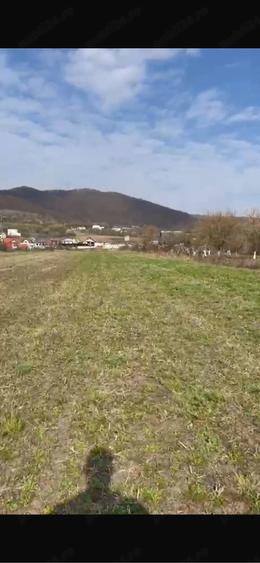 Teren de 2300 mp, în Viișoara