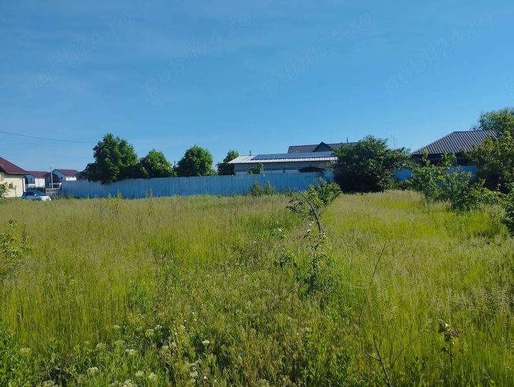 Vand teren intravilan 2077 mp Focsanei Buzau - 4