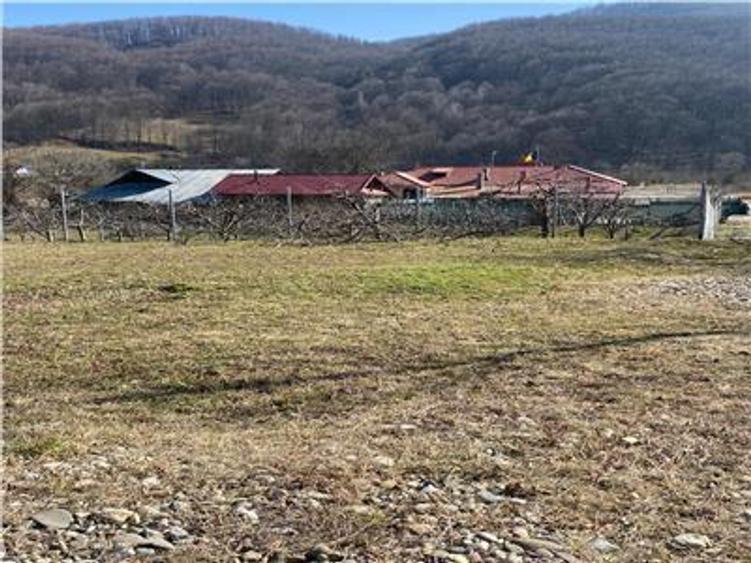 Teren Construcții intravilan de 2680 mp, în Est