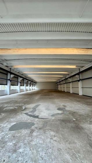 Spațiu industrial, de 990 mp, în Tătărași