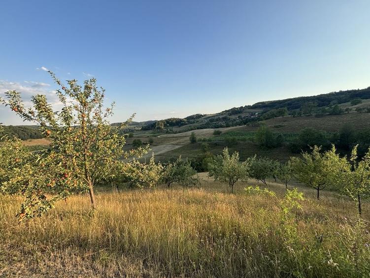 Vand teren intravilan construibil cu panorama deosebita - 2453 mp Rosia - 7