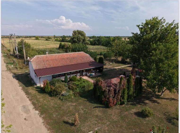 Spațiu industrial, de 1,000 mp, în Periferie