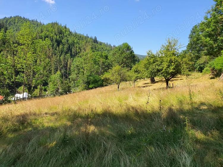 Teren de 3244 mp, în Scărișoara