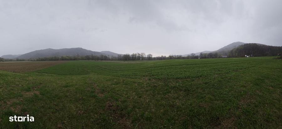 Teren de 4300 mp, în Dobrocina