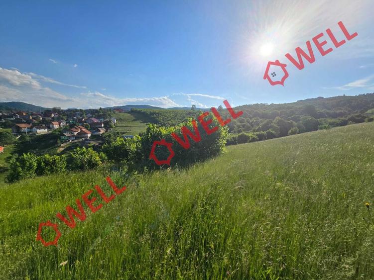 Teren extravilan de 8163 mp, în Acriș