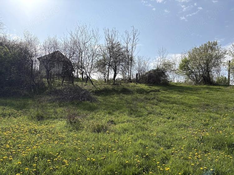Teren de 5200 mp, în Măncioiu