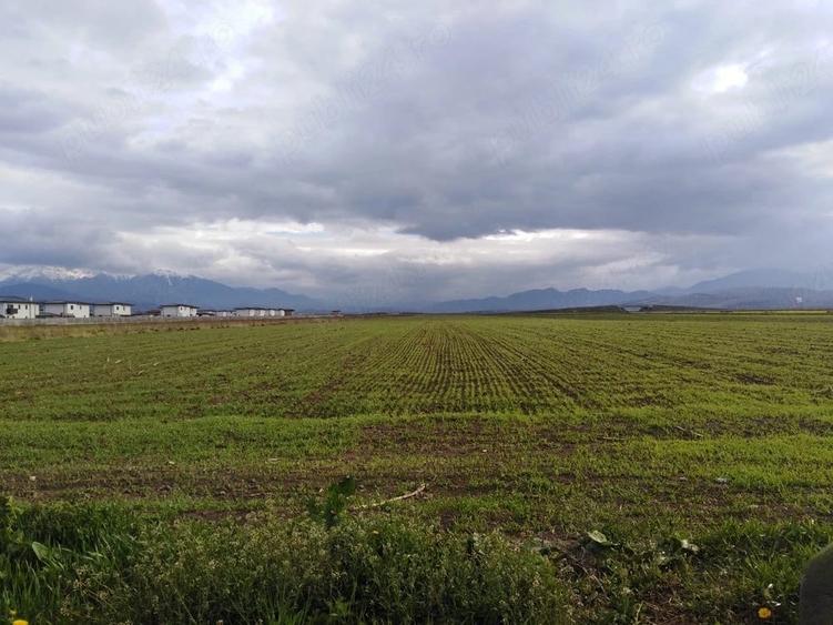 Teren de 1090 mp, în Cristian