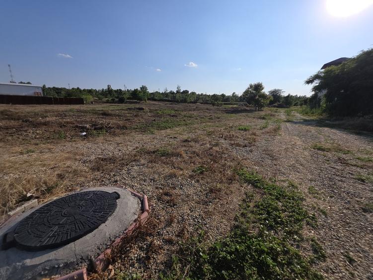 Teren Construcții intravilan de 3050 mp, în 1 Decembrie