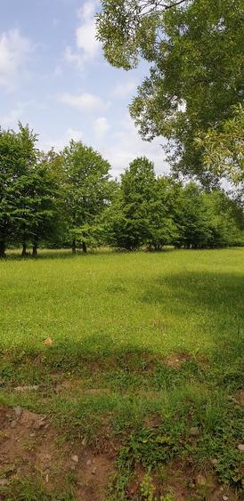 Teren agricol extravilan de 4364 mp, în Central