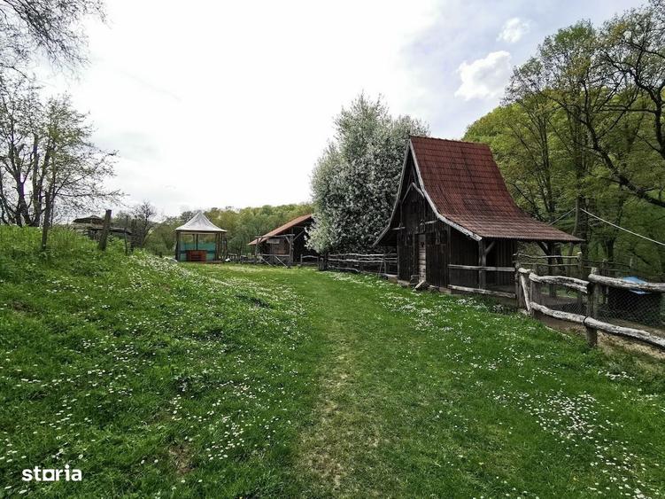 Oportunitate, Restaurant cu MiniPensiune 800mp, 1,8ha teren, Via Trans - 5