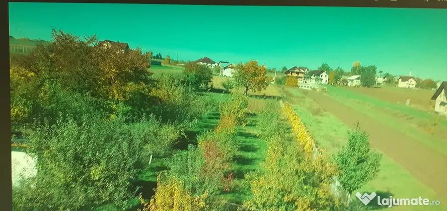 Casă cu 7 camere în Lisaura
