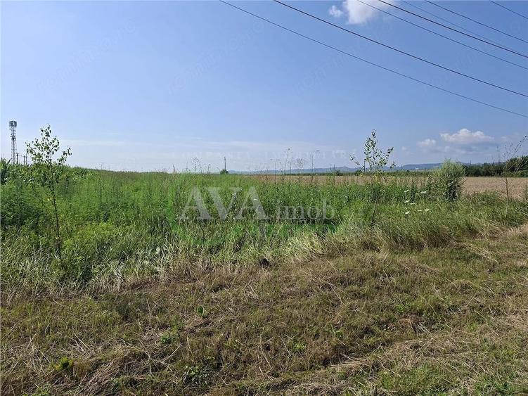 Teren de 1600 mp, în Central
