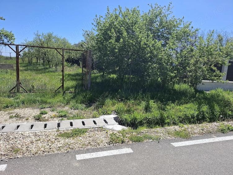 Teren de 4300 mp, în Vedea