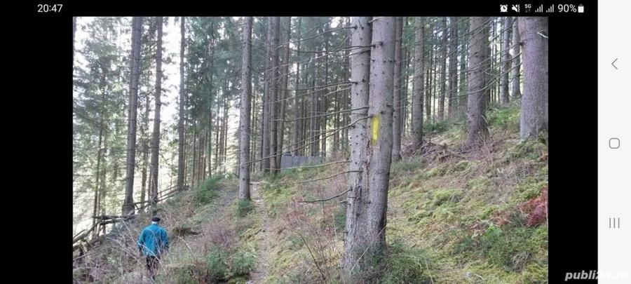 Teren de 10000 mp, în Izvoarele Sucevei