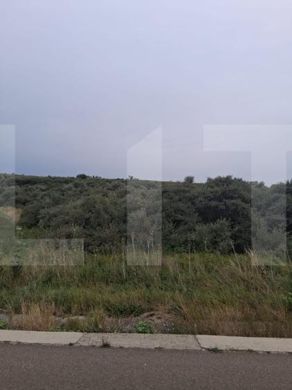 Teren agricol extravilan de 17300 mp, în Soroceni