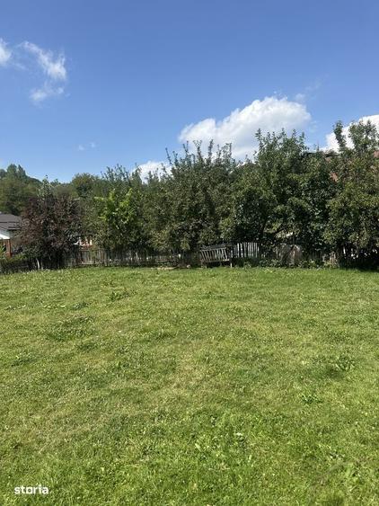 Provita de Jos - casa batraneasca + teren 1046mp - 35000 Euro/Neg. - 8