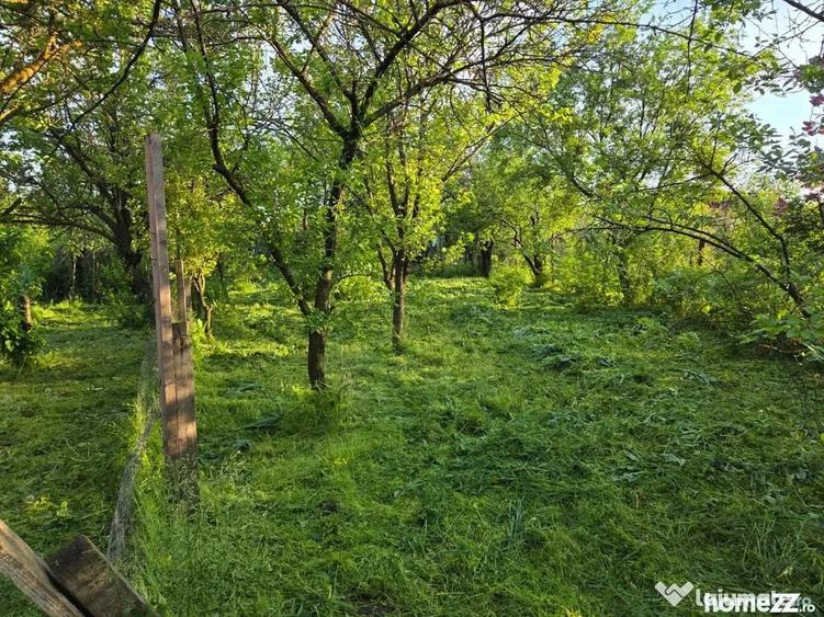 Garsonieră în Moșteni