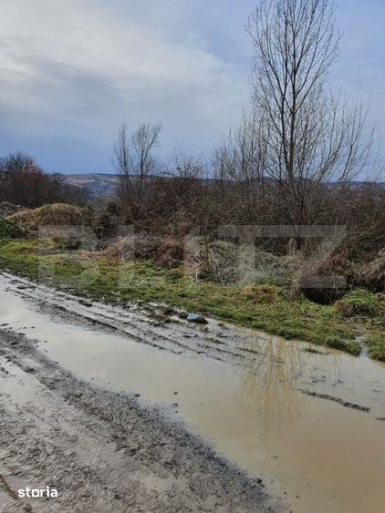 Teren de 770 mp, în Glod