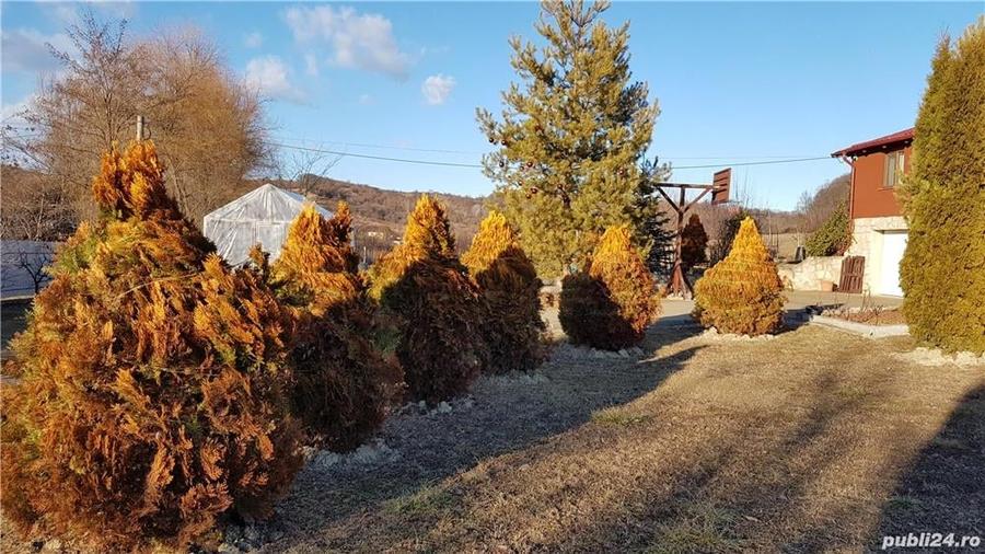 Casă cu 5 camere cu Teren 5600 Mp în Stejaru