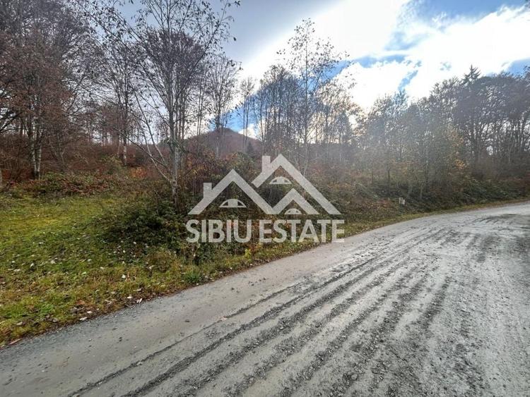 Teren Construcții intravilan de 3000 mp, în Sud