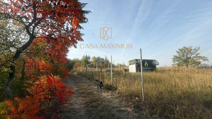Teren Construcții extravilan de 930 mp, în Șura Mare