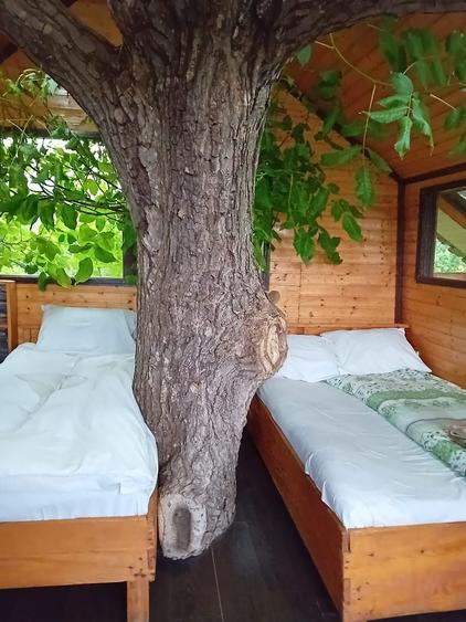 Casă cu 3 camere în Pietrari