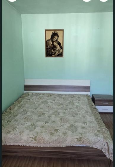 Apartament 2 camere de vanzare Brezoi - 7