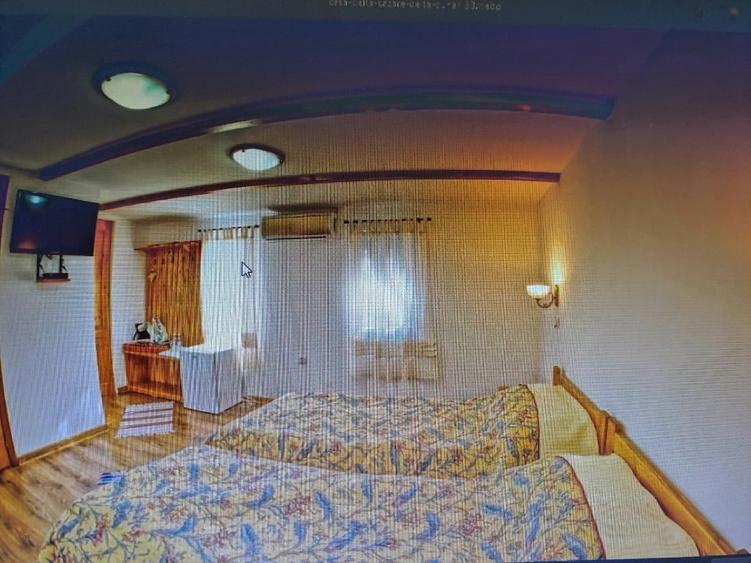 Hotel/Pensiune, de 20 mp, în Crișan
